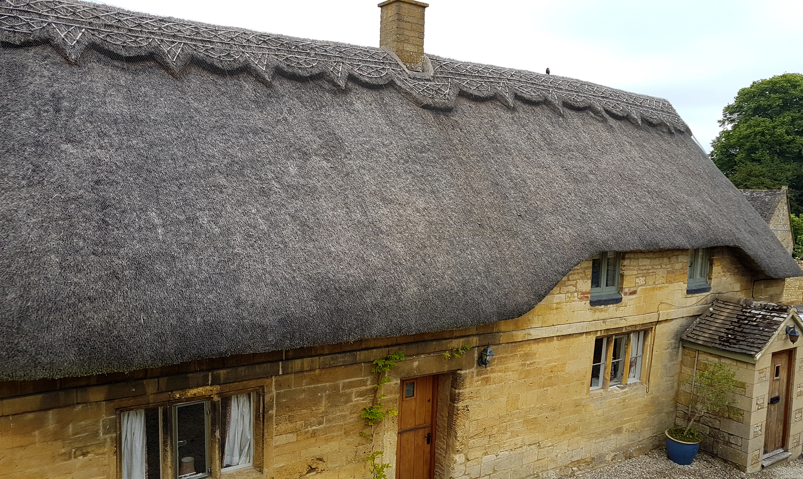 Is a Thatched Roof Property a Good Idea if You Own a Luxury Car?
